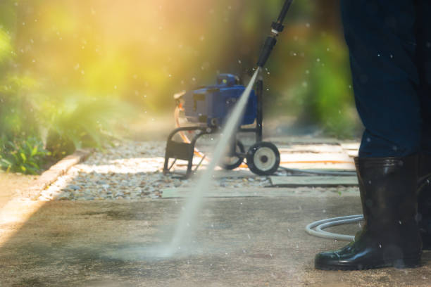 Best Roof Cleaning and Mildew Removal in Springtown, TX